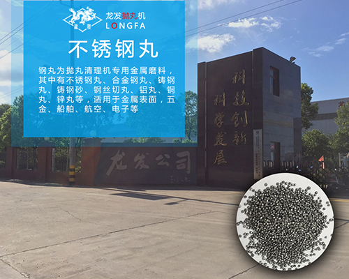 不锈钢丸 不锈钢丸